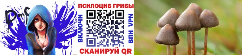 Псилоцибиновые грибы мицелий  Купить где  Власиха 